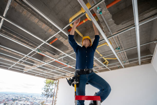 Best Plumbing Repair Near Me  in Marshall, MO